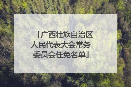 广西壮族自治区人民代表大会常务委员会任免名单