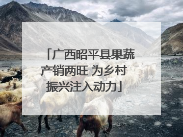 广西昭平县果蔬产销两旺 为乡村振兴注入动力
