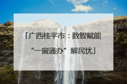 广西桂平市：数智赋能“一窗通办”解民忧
