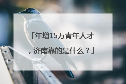 年增15万青年人才，济南靠的是什么？