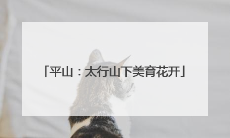 平山：太行山下美育花开