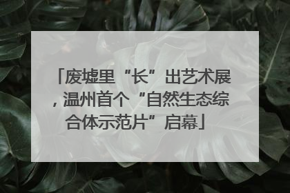 废墟里“长”出艺术展，温州首个“自然生态综合体示范片”启幕