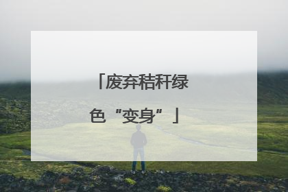 废弃秸秆绿色“变身”