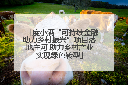 度小满“可持续金融助力乡村振兴”项目落地庄河 助力乡村产业实现绿色转型