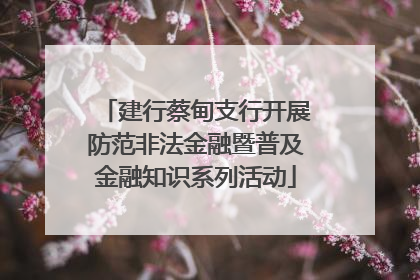 建行蔡甸支行开展防范非法金融暨普及金融知识系列活动