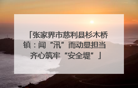 张家界市慈利县杉木桥镇：闻“汛”而动显担当 齐心筑牢“安全堤”