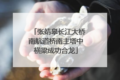张靖皋长江大桥南航道桥南主塔中横梁成功合龙