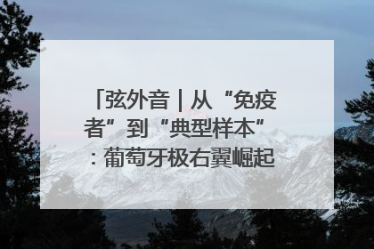 弦外音｜从“免疫者”到“典型样本”：葡萄牙极右翼崛起背后的欧洲困局