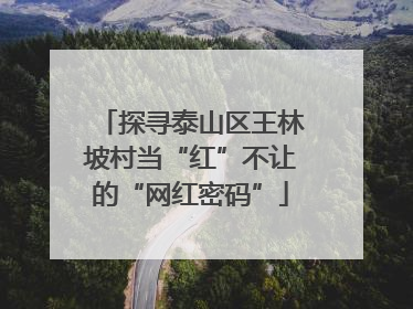 探寻泰山区王林坡村当“红”不让的“网红密码”