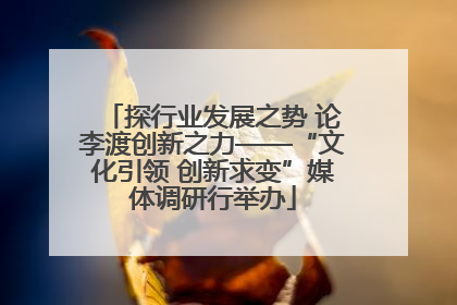 探行业发展之势 论李渡创新之力——“文化引领 创新求变”媒体调研行举办