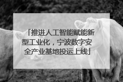 推进人工智能赋能新型工业化，宁波数字安全产业基地投运上线