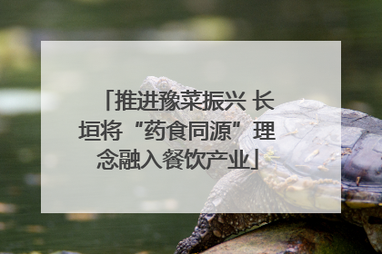 推进豫菜振兴 长垣将“药食同源”理念融入餐饮产业