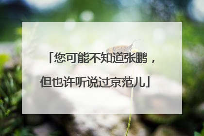 您可能不知道张鹏，但也许听说过京范儿
