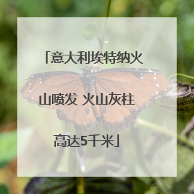 意大利埃特纳火山喷发 火山灰柱高达5千米