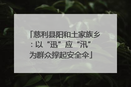 慈利县阳和土家族乡：以“迅”应“汛” 为群众撑起安全伞