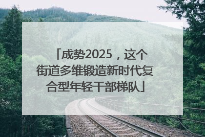 成势2025，这个街道多维锻造新时代复合型年轻干部梯队