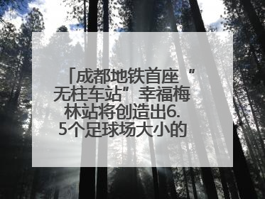 成都地铁首座“无柱车站”幸福梅林站将创造出6.5个足球场大小的通透空间