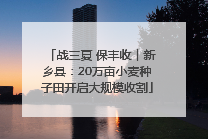 战三夏 保丰收丨新乡县：20万亩小麦种子田开启大规模收割