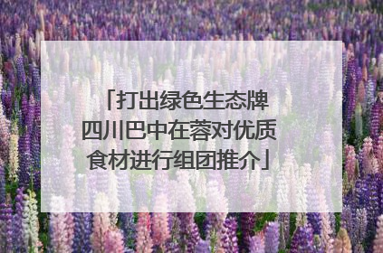 打出绿色生态牌 四川巴中在蓉对优质食材进行组团推介