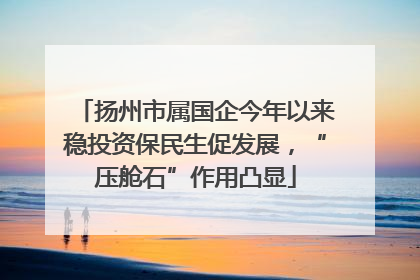 扬州市属国企今年以来稳投资保民生促发展，“压舱石”作用凸显
