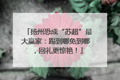 扬州恐成“苏超”最大赢家：踢到哪免到哪，回礼更惊艳！