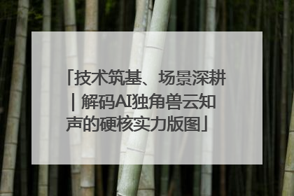 技术筑基、场景深耕｜解码AI独角兽云知声的硬核实力版图