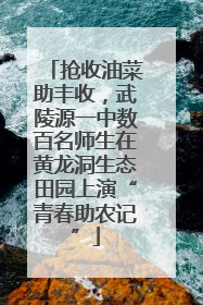 抢收油菜助丰收，武陵源一中数百名师生在黄龙洞生态田园上演“青春助农记”