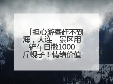 担心游客赶不到海，大连一景区用铲车日撒1000斤蚬子！情绪价值拉满！