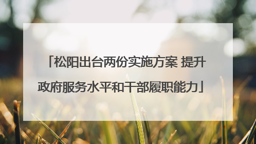 松阳出台两份实施方案 提升政府服务水平和干部履职能力
