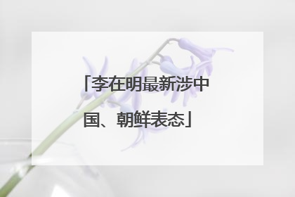 李在明最新涉中国、朝鲜表态