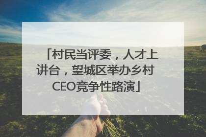 村民当评委，人才上讲台，望城区举办乡村CEO竞争性路演