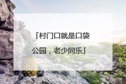 村门口就是口袋公园，老少同乐