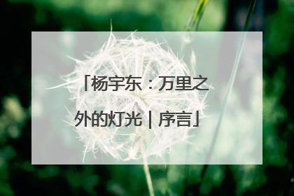杨宇东：万里之外的灯光｜序言