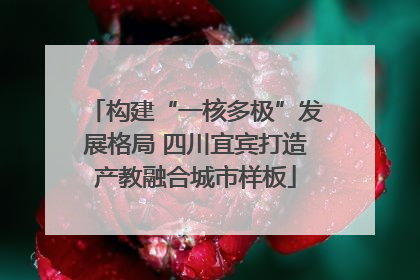 构建“一核多极”发展格局 四川宜宾打造产教融合城市样板