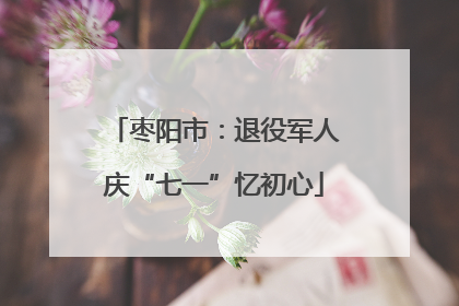 枣阳市：退役军人庆“七一”忆初心