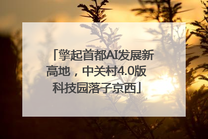 擎起首都AI发展新高地，中关村4.0版科技园落子京西