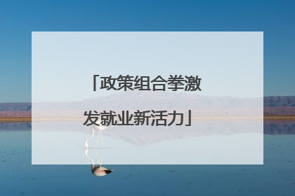 政策组合拳激发就业新活力