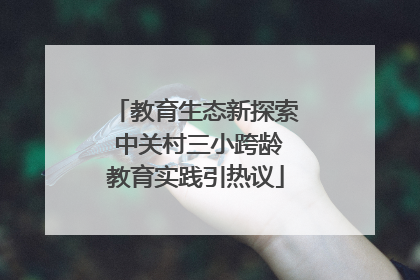 教育生态新探索 中关村三小跨龄教育实践引热议
