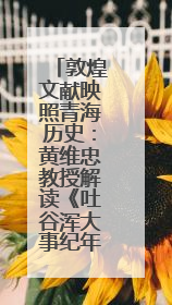 敦煌文献映照青海历史：黄维忠教授解读《吐谷浑大事纪年》