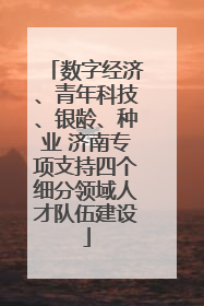 数字经济、青年科技、银龄、种业 济南专项支持四个细分领域人才队伍建设