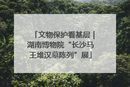 文物保护看基层｜湖南博物院“长沙马王堆汉墓陈列”展