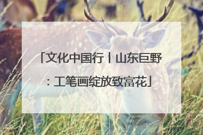 文化中国行丨山东巨野：工笔画绽放致富花