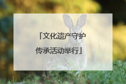 文化遗产守护传承活动举行