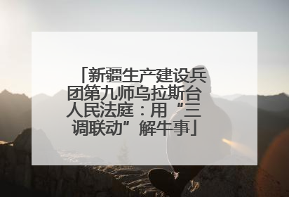新疆生产建设兵团第九师乌拉斯台人民法庭：用“三调联动”解牛事