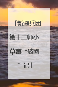 新疆兵团第十二师小草莓“破圈”记