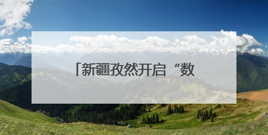 新疆孜然开启“数字丝路”新征程
