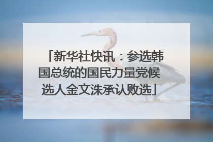 新华社快讯：参选韩国总统的国民力量党候选人金文洙承认败选