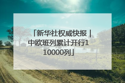 新华社权威快报｜中欧班列累计开行110000列