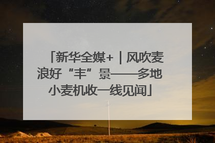 新华全媒+｜风吹麦浪好“丰”景——多地小麦机收一线见闻