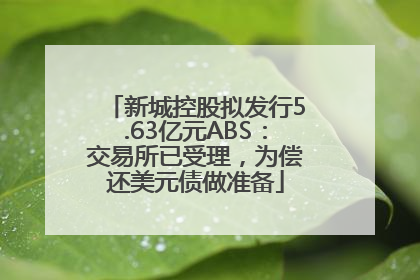 新城控股拟发行5.63亿元ABS：交易所已受理，为偿还美元债做准备